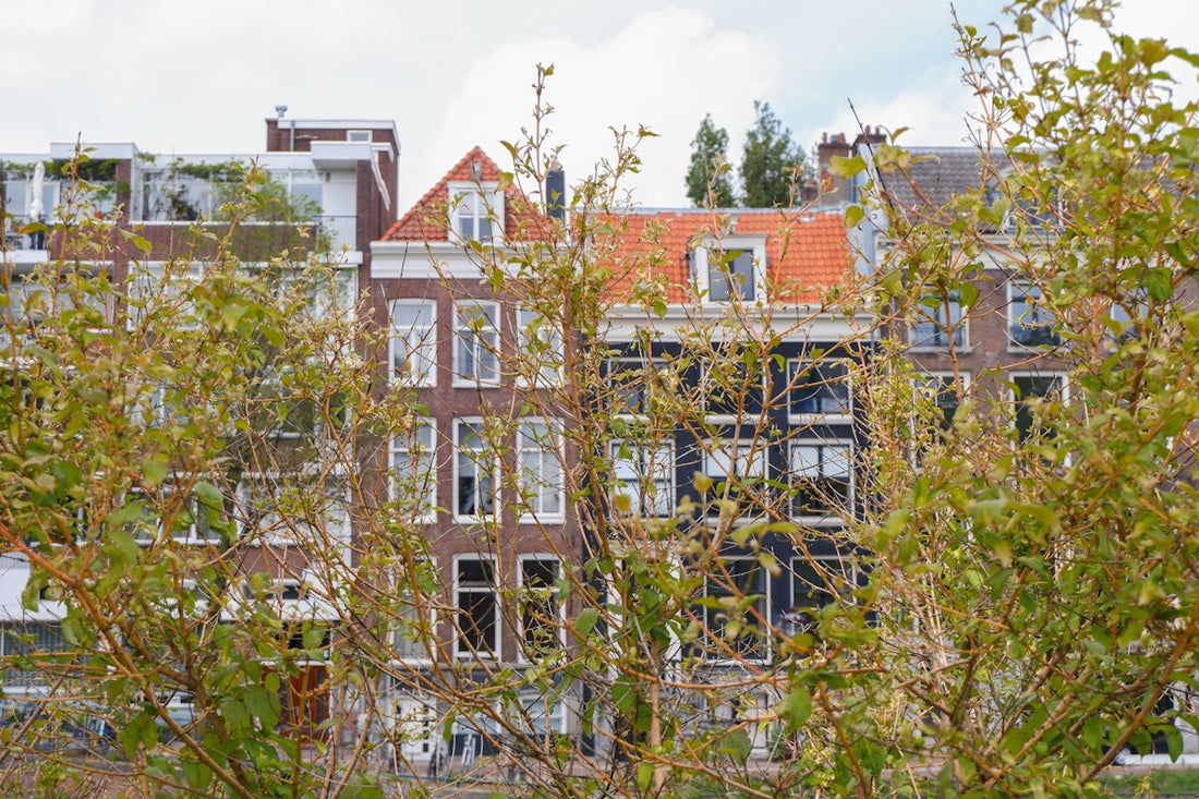 a view of a building through some trees